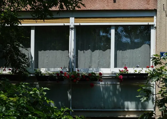 Kolombo Lux Daire Split